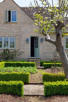 a house that has hedges in front of it