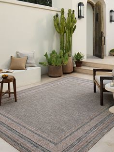 a living room with a cactus in the corner and two chairs on the other side