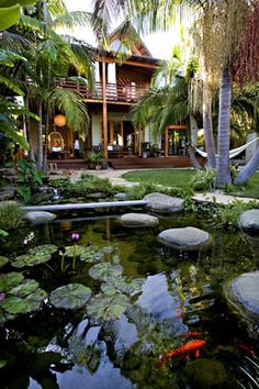 the house is surrounded by lush vegetation and water lilies, which are floating in the pond