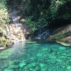 the water is crystal green and there are many fish swimming in this pool near the waterfall