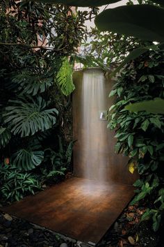 a waterfall in the middle of some plants