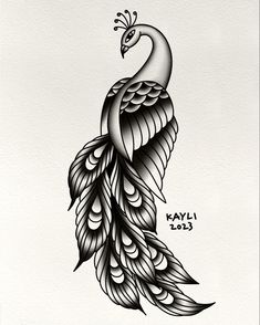 a black and white drawing of a peacock