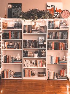 a book shelf filled with lots of books on top of a hard wood floor next to a christmas tree