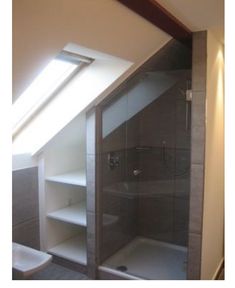 an attic bathroom with a skylight above the toilet and shower stall in the corner