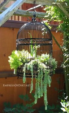 a birdcage with plants hanging from it's sides