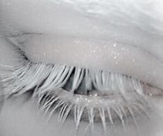 a close up view of an eye with long white lashes and water droplets on it