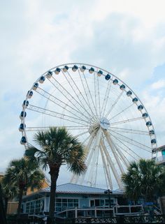 a large ferris wheel sitting next to palm trees on a cloudy blue day in front of a building