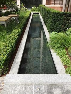 a long narrow water feature in the middle of a garden