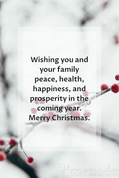 a christmas card with the words wishing you and your family peace, health, happiness, and prosperity in the coming year merry christmas