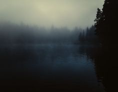 a foggy lake with trees on the shore and water in the foreground at night