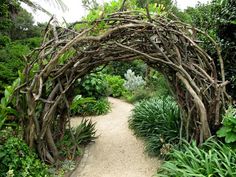 an arch made out of branches is in the middle of a garden with plants around it