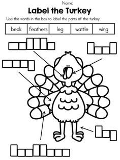 a turkey worksheet with words and pictures to help students learn the names of animals