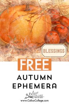 an autumn poster with oranges and leaves on it, including the words free autumn ephemera