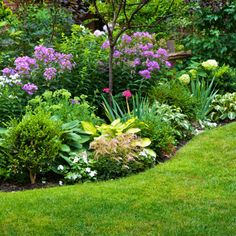 a garden filled with lots of different types of flowers and greenery next to a tree