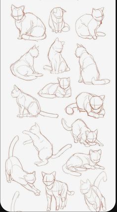 a bunch of cats that are sitting on top of each other in different positions and sizes