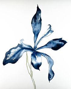 a blue flower is shown on a white background