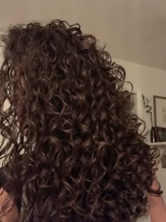 Long Curly Hair Brunette, Naturally Curly Brunette Hair, Perfect Curls Natural, Curly Hair Vision Board, Curly Haircare Aesthetic, Vision Board Curly Hair, Long 3a Curly Hair, Chocolate Brown Hair Curly, Curly Hair Back View