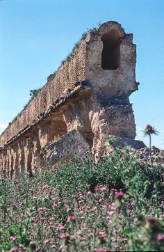 an old stone building sitting on top of a lush green field filled with purple flowers