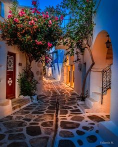 an alley way with flowers growing on it