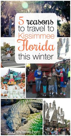 the top five things to see in florida this winter