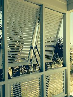 an open window with shutters and palm trees in the background