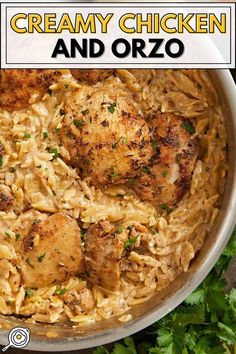 creamy chicken and orzo in a pan with parsley on the side