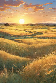 the sun is setting over an open field with tall grass and houses in the distance