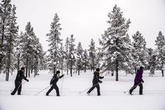 four people cross country skiing in the snow