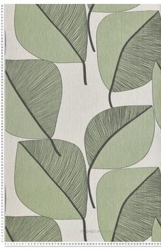 a green and white wallpaper with large leaves on it's back side,