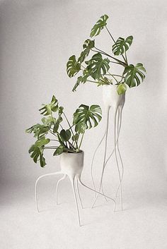 two white vases with green plants in them on a grey background, one is shaped like a cat and the other has long curved legs