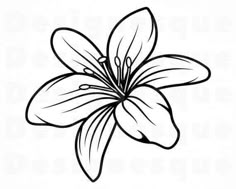 a black and white drawing of a flower