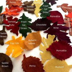 the colors of felt leaves are shown in different sizes and shapes, including red, orange, yellow, green, purple, and brown