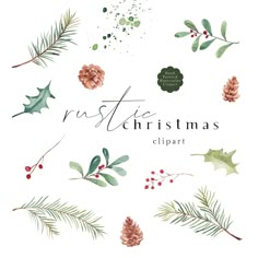 christmas clipart with pine cones, holly leaves and mists on the top right corner