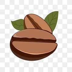 a coffee bean with leaves on it, transparent background png and psd files