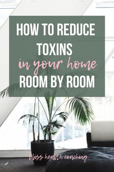 Are you ready to clean the chemicals out of your home? Learn how you can reduce toxins in your home room by room. #reducetoxins #toxinfreeliving #chemicalfreehome Detoxing Your Home, Toxins In Your Home, Bio Hacking, Toxic Free Living, Nontoxic Cleaning, Chemical Free Living, Toxin Free Living, Detox Your Home, Asthma Relief