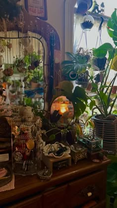 a dresser with lots of potted plants on top of it next to a mirror