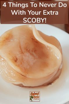 a close up of a plate of food with the words 4 things to never do with your extra scoby