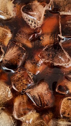 ice cubes in water with brown and yellow colors on the surface, top view