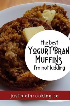 the best yogurt bran muffins i'm not kidding