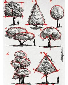 how to draw trees with pencils