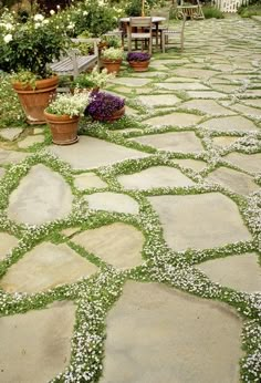 an outdoor patio with potted plants and flowers on the stone floor, surrounded by greenery