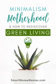 a small potted plant with the words, minimalism motherhood and how to rediscover green living