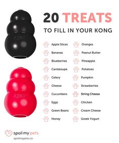 the top 20 treats to fill in your kong dog toy is shown with text overlay