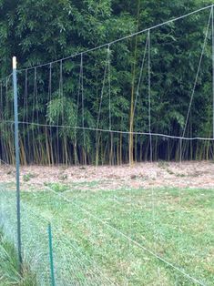 an image of a fence that is in the middle of some grass with trees behind it