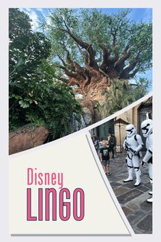 Planning a Disney World vacation? Learn the lingo with our Disney Secrets guide to abbreviations, featuring popular spots like Port Orleans Riverside and Seven Dwarfs Mine Train. Perfect for making your Orlando vacation magical and stress-free!