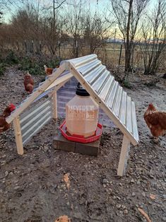 chickens are walking around in the dirt near a chicken coop with a feeder on it