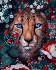 a close up of a cheetah surrounded by flowers and leaves with blue eyes