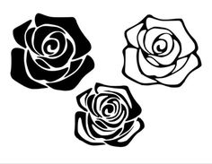 three black and white roses are shown on a white background, with one flower in the middle