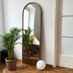 a mirror sitting on top of a wooden floor next to a potted plant