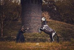 two people dressed up as skeletons playing with a horse